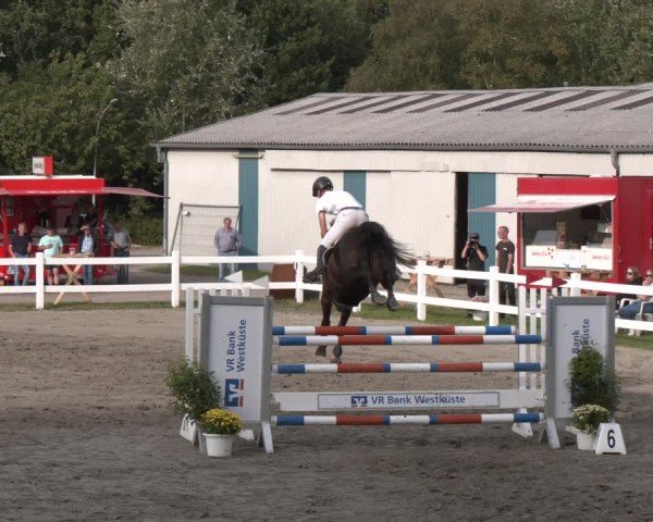 Reitturnier Springturnier Mildstedt 2024