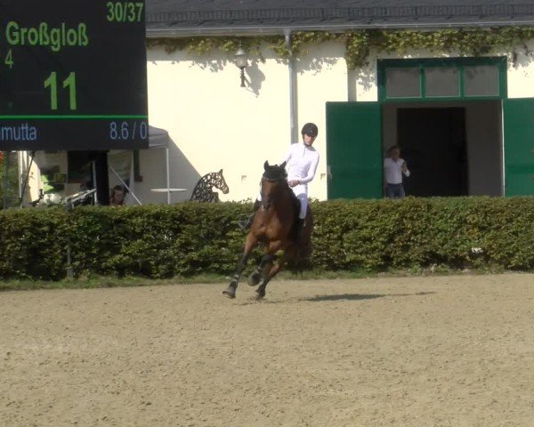 Reitturnier St.Wendel, Gestüt Welvert 2024