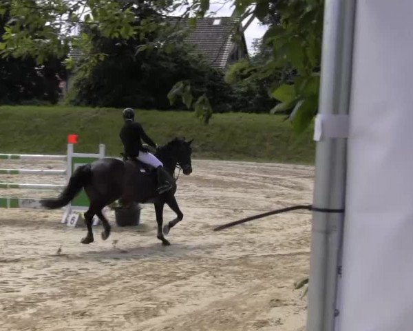 Fröndenberg 2013
