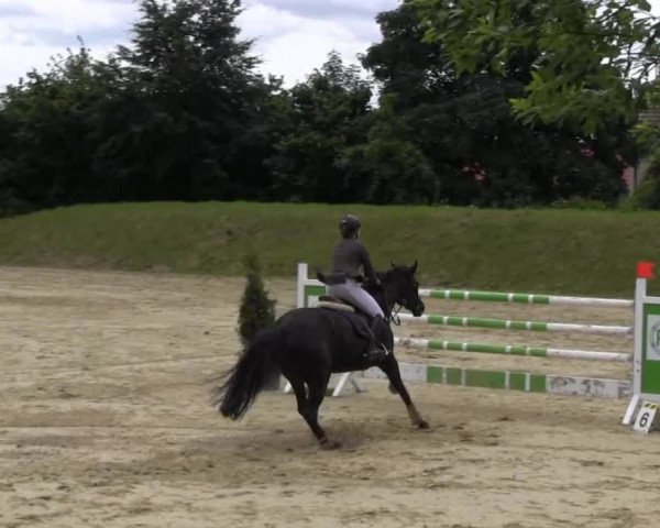 Fröndenberg 2013