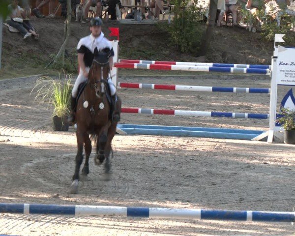Reitturnier Köln-Flittard (Scheuerhof) 2024