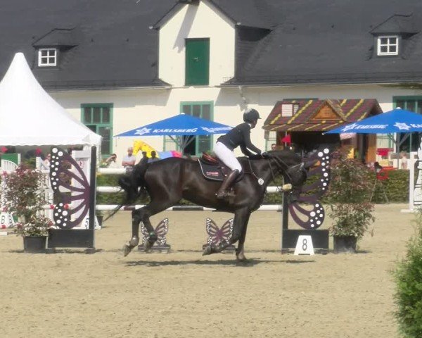 Reitturnier St.Wendel, Gestüt Welvert 2024