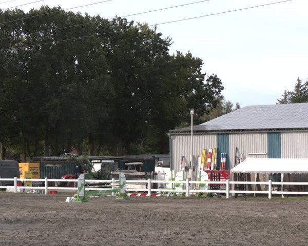 Reitturnier Springturnier Mildstedt 2024
