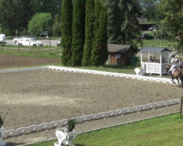 Reitturnier Dornbirn 2024