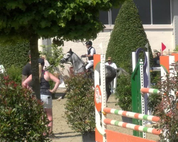 Reitturnier St.Wendel, Gestüt Welvert 2024