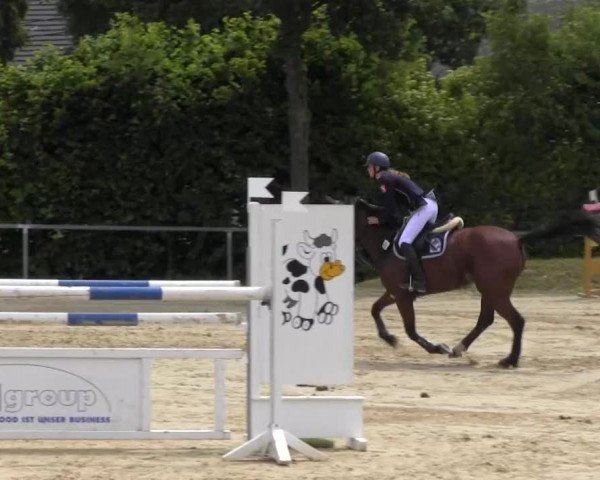 Fröndenberg 2013