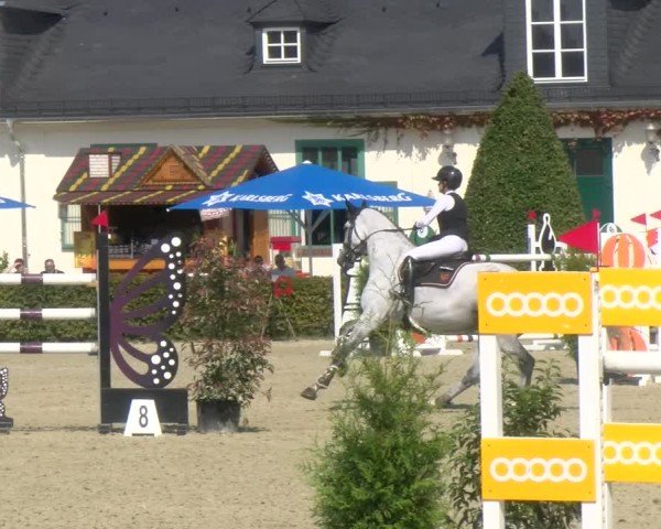 Reitturnier St.Wendel, Gestüt Welvert 2024