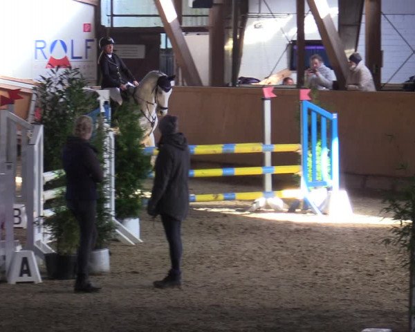 Reitturnier Steinheim 2021