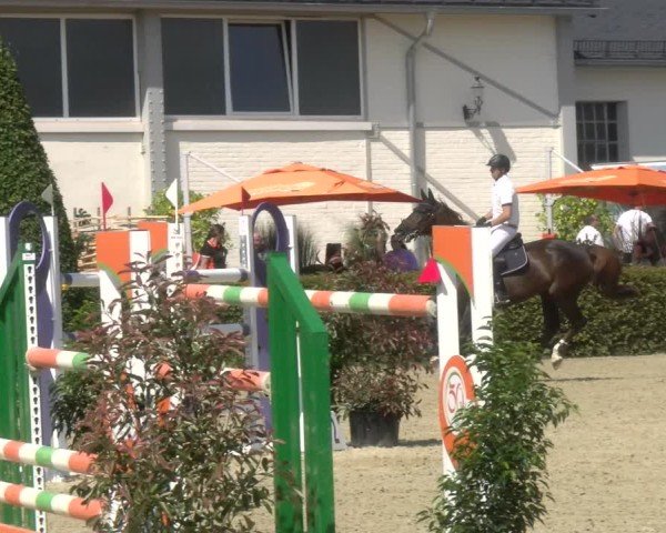 Reitturnier St.Wendel, Gestüt Welvert 2024