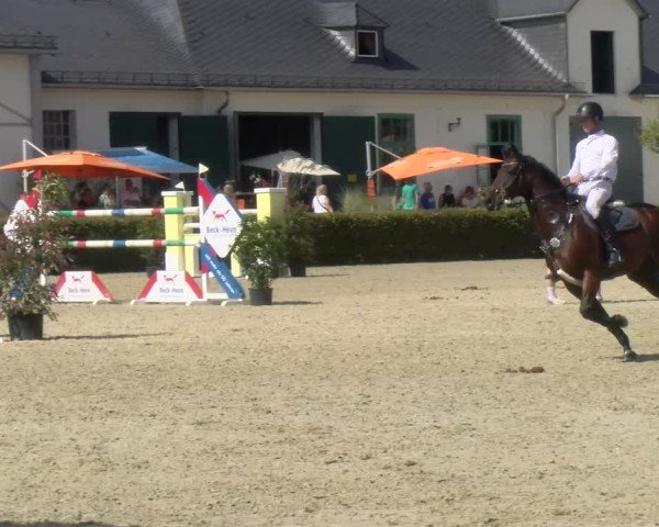 Reitturnier St.Wendel, Gestüt Welvert 2024