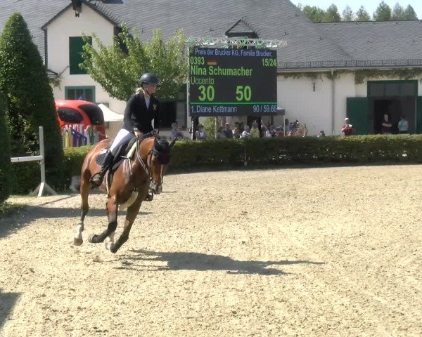 Reitturnier St.Wendel, Gestüt Welvert 2024