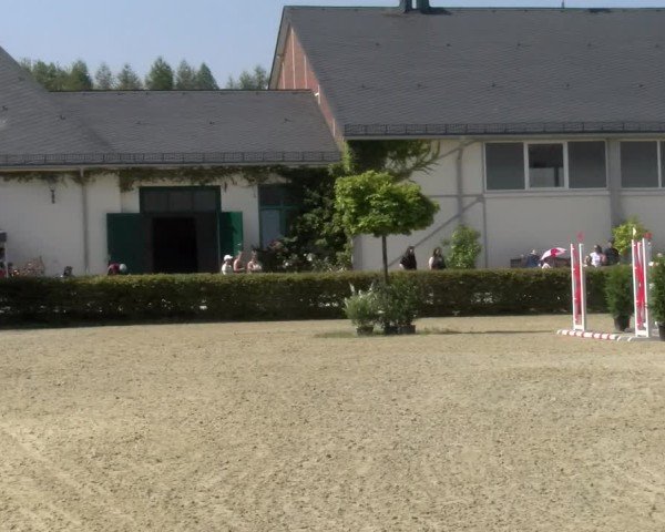 Reitturnier St.Wendel, Gestüt Welvert 2024