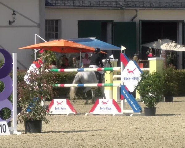 Reitturnier St.Wendel, Gestüt Welvert 2024