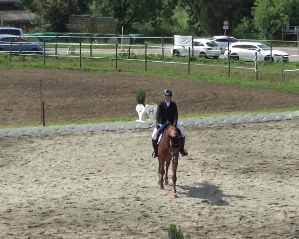 Reitturnier Dornbirn 2024