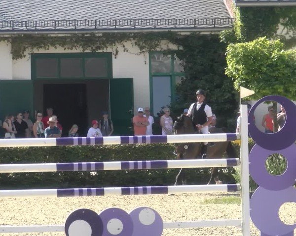 Reitturnier St.Wendel, Gestüt Welvert 2024