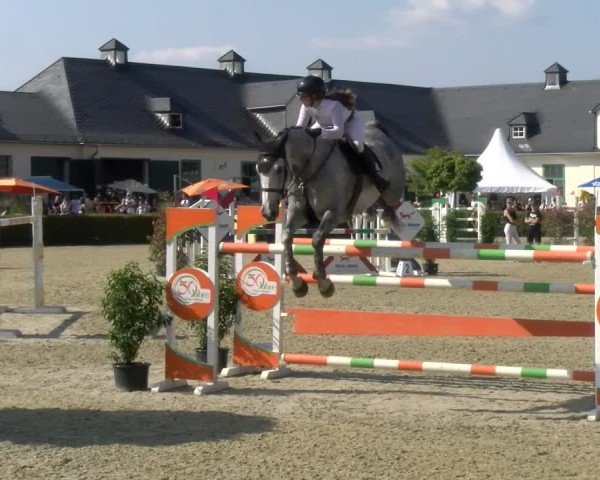 Reitturnier St.Wendel, Gestüt Welvert 2024