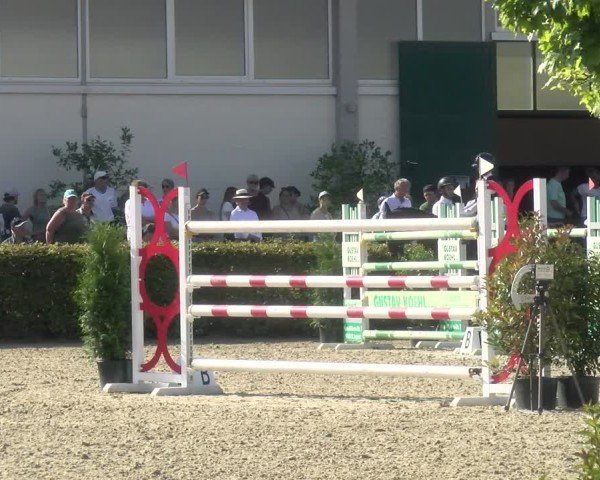Reitturnier St.Wendel, Gestüt Welvert 2024