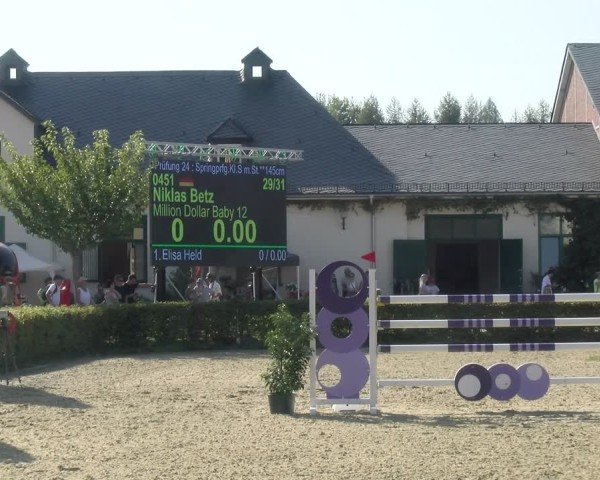 Reitturnier St.Wendel, Gestüt Welvert 2024