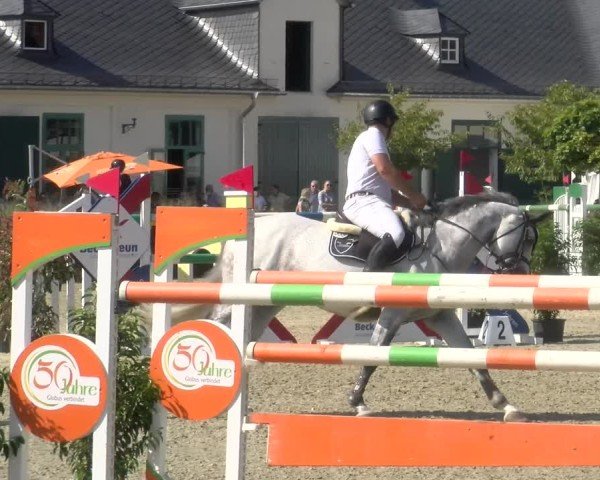 Reitturnier St.Wendel, Gestüt Welvert 2024