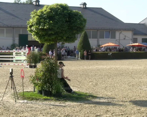 Reitturnier St.Wendel, Gestüt Welvert 2024