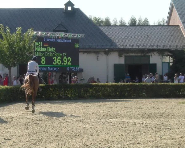 Reitturnier St.Wendel, Gestüt Welvert 2024