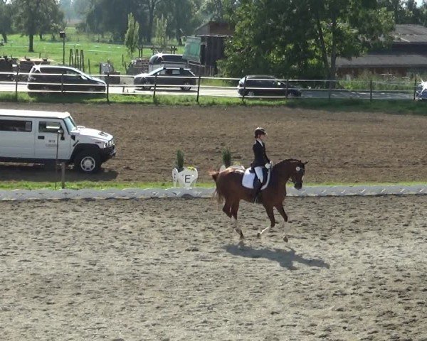 Reitturnier Dornbirn 2024