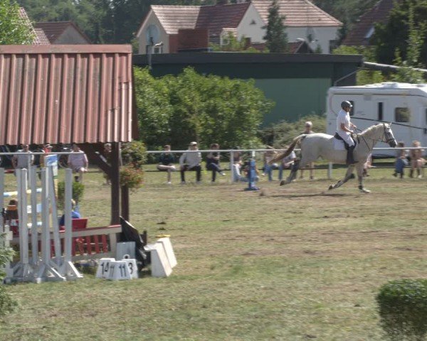 Reitturnier Reckahn 2024