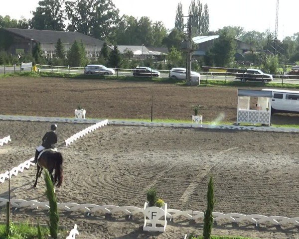 Reitturnier Dornbirn 2024