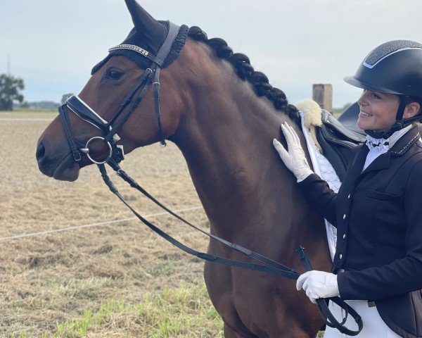 dressage horse Rock it Babe KH (German Riding Pony, 2019, from Dan Kano AT)