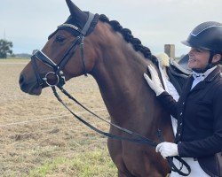 dressage horse Rock it Babe KH (German Riding Pony, 2019, from Dan Kano AT)