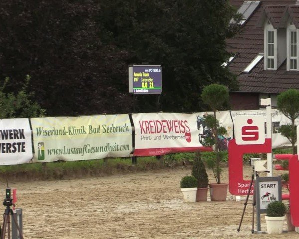 Reitturnier Vlotho-Valdorf 2024