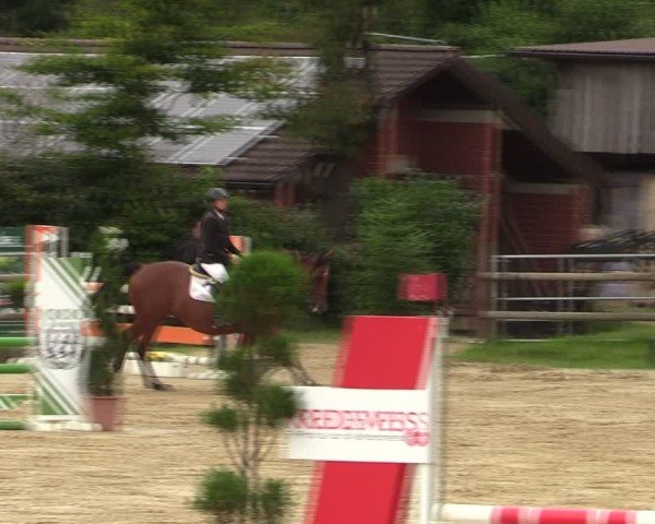 Reitturnier Vlotho-Valdorf 2024