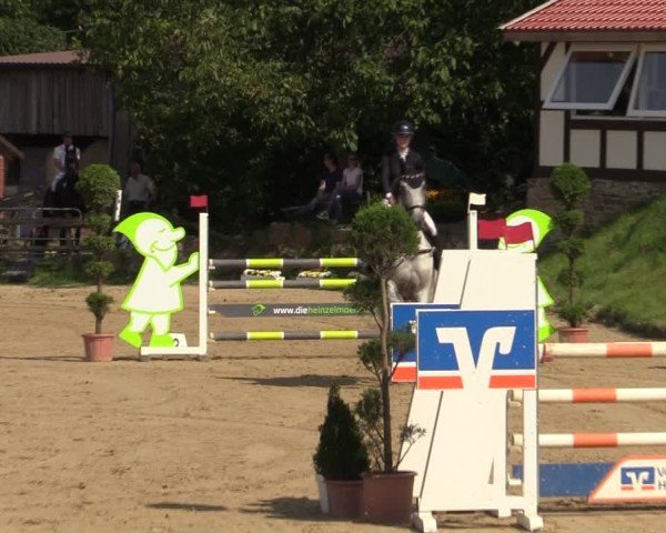 Reitturnier Vlotho-Valdorf 2024