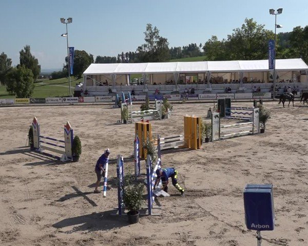 Video von Nolan