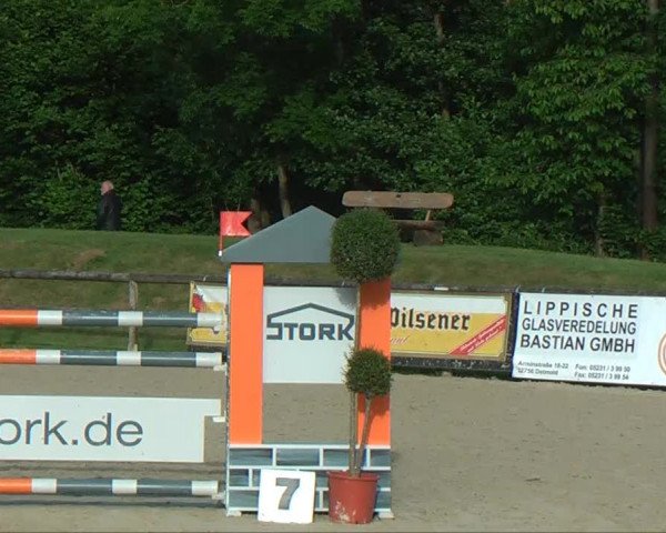 Remmighausen 2013