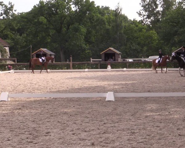 Reitturnier Müncheberg 2024