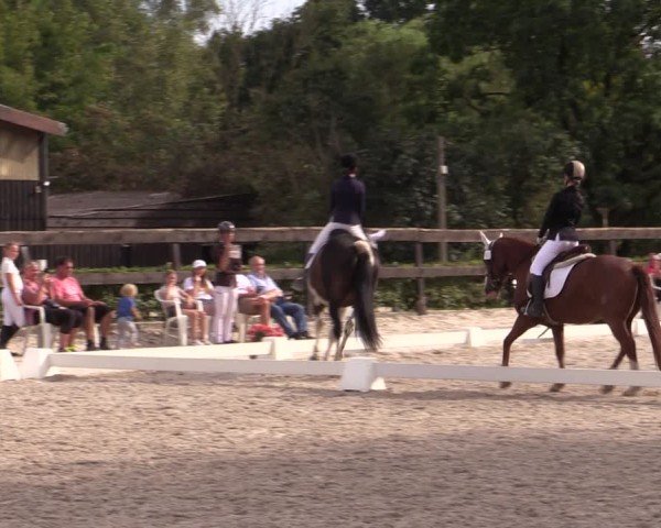 Reitturnier Müncheberg 2024