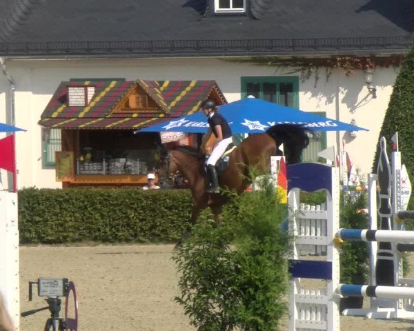 Reitturnier St.Wendel, Gestüt Welvert 2024