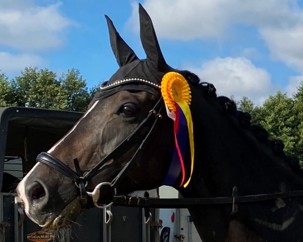 horse Diara (Oldenburg, 2015, from Fürst Larino)