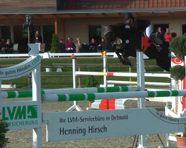 Remmighausen 2013