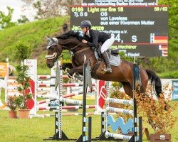 jumper Light My Fire 18 (Oldenburg show jumper, 2017, from Loveless)