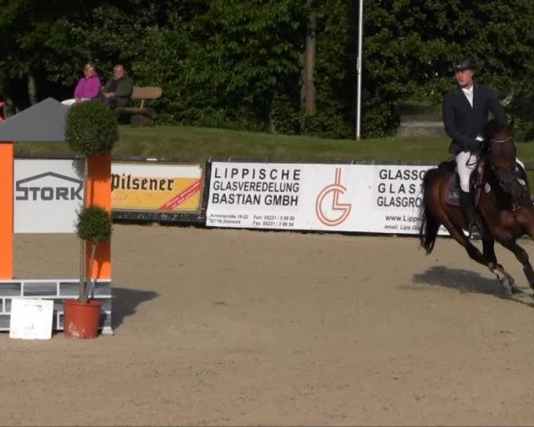 Remmighausen 2013