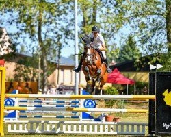broodmare Oh my Fina HP (Hanoverian, 2019, from Ogano Sitte)