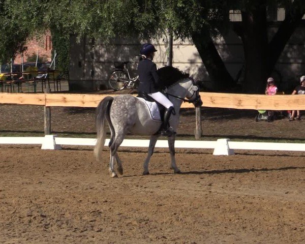 Reitturnier Pinnow 2024