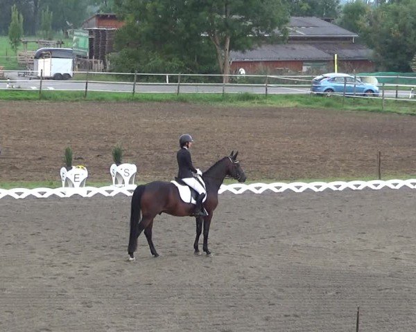 Reitturnier Dornbirn 2024