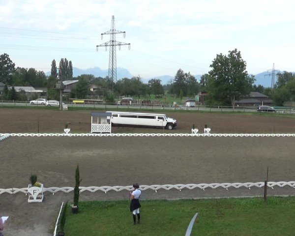 Reitturnier Dornbirn 2024