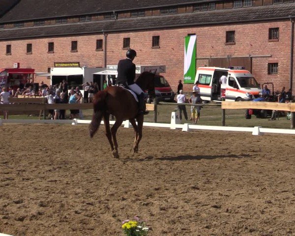 Reitturnier Pinnow 2024