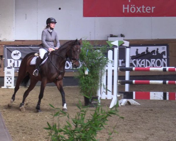 Reitturnier Steinheim 2021