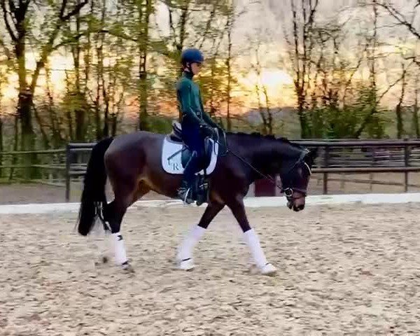 Video of Die kleine Feine 4