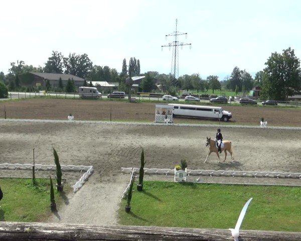 Reitturnier Dornbirn 2024